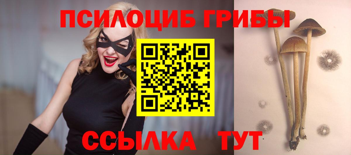 Шарыпово  Псилоцибиновые грибы Psilocybe  где купить наркотик  Вход с VPN 